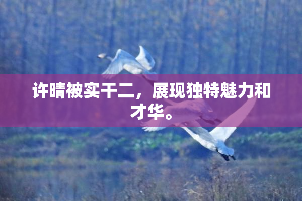 许晴被实干二，展现独特魅力和才华。