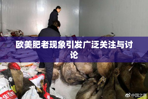 欧美肥老现象引发广泛关注与讨论