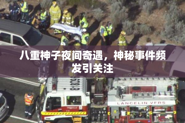八重神子夜间奇遇，神秘事件频发引关注