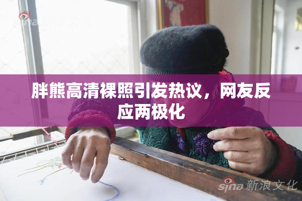 胖熊高清裸照引发热议，网友反应两极化