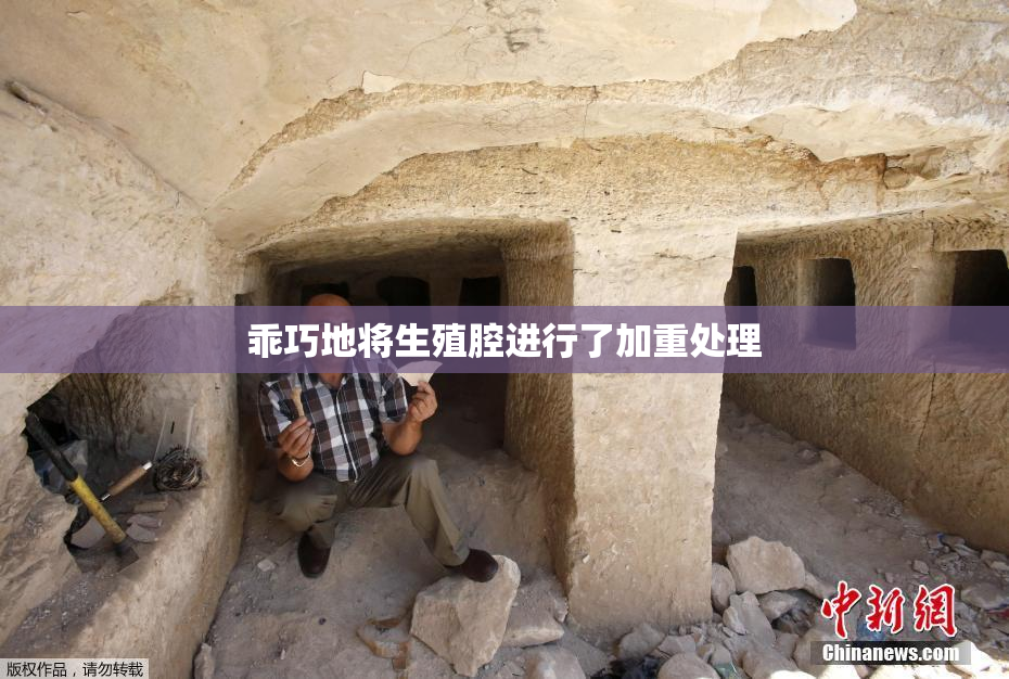 乖巧地将生殖腔进行了加重处理