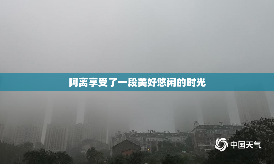 阿离享受了一段美好悠闲的时光