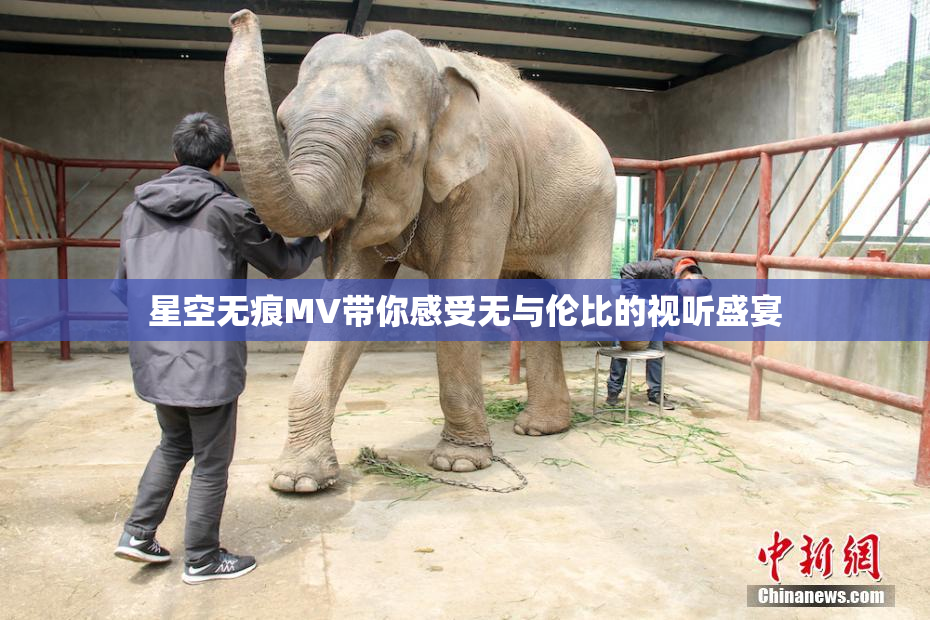 星空无痕MV带你感受无与伦比的视听盛宴