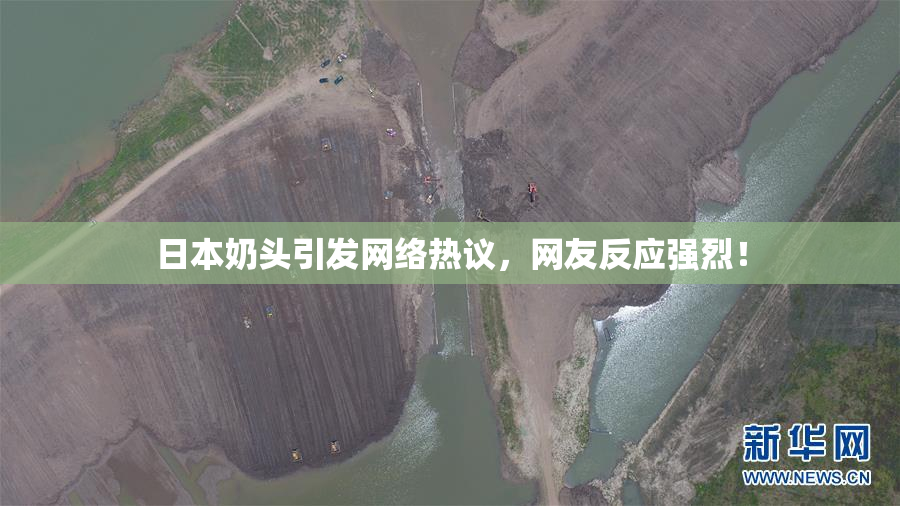 日本奶头引发网络热议，网友反应强烈！