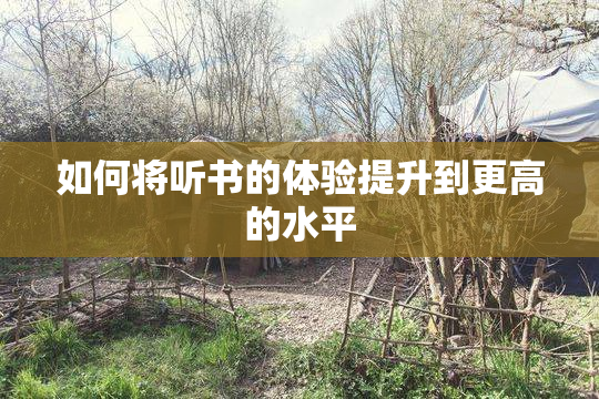如何将听书的体验提升到更高的水平