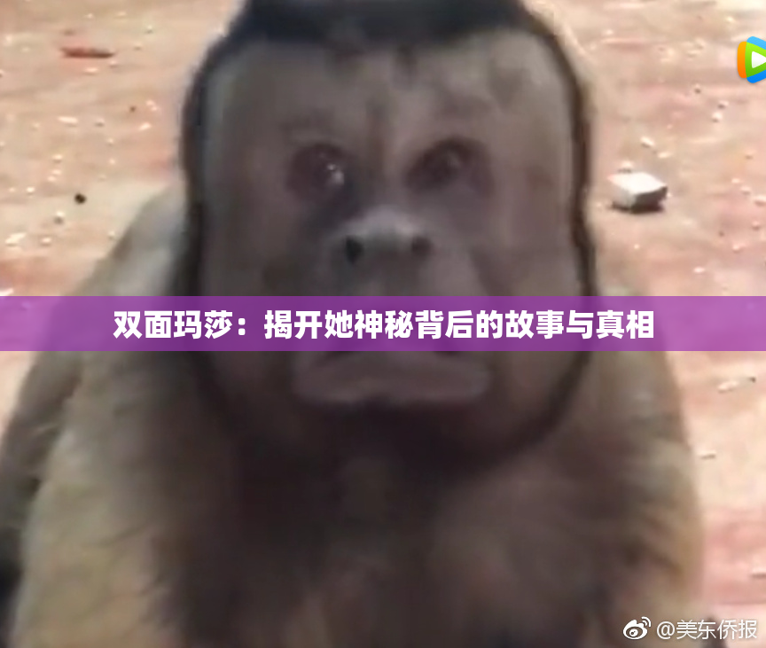 双面玛莎：揭开她神秘背后的故事与真相