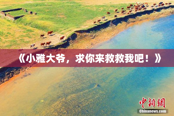《小雅大爷，求你来救救我吧！》
