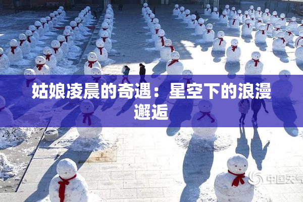 姑娘凌晨的奇遇：星空下的浪漫邂逅