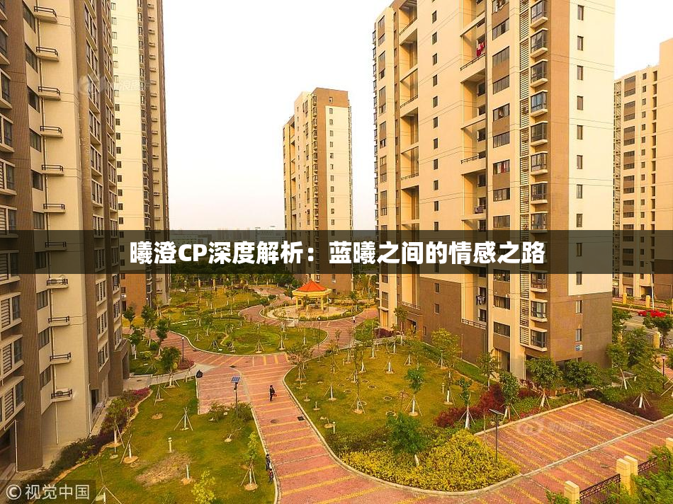 曦澄CP深度解析：蓝曦之间的情感之路