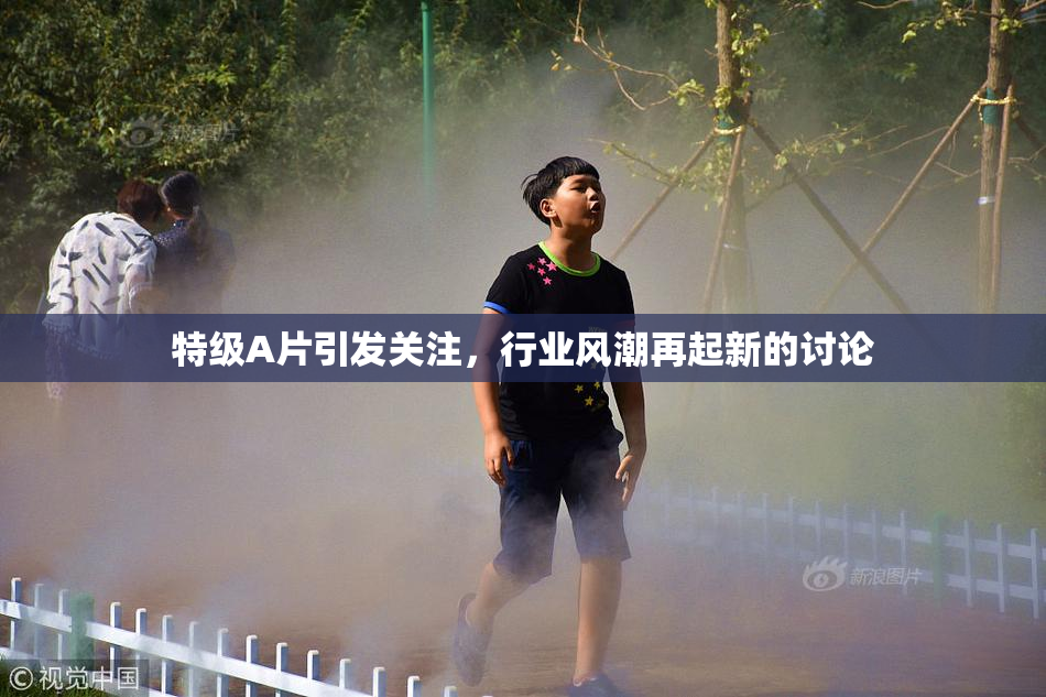 特级A片引发关注，行业风潮再起新的讨论