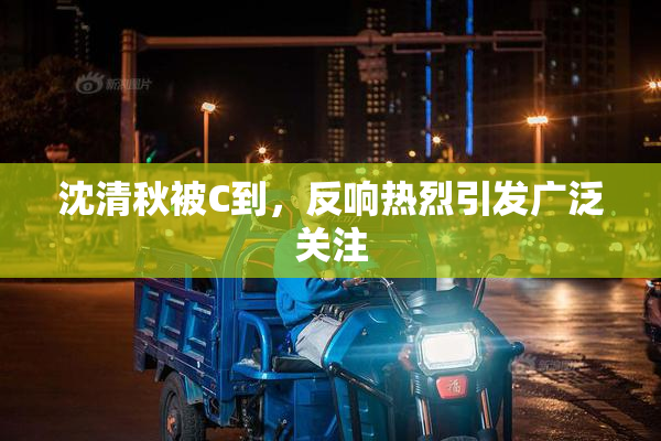 沈清秋被C到，反响热烈引发广泛关注