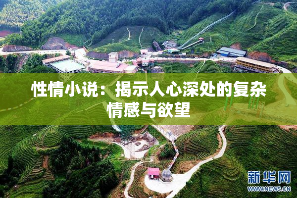 性情小说：揭示人心深处的复杂情感与欲望