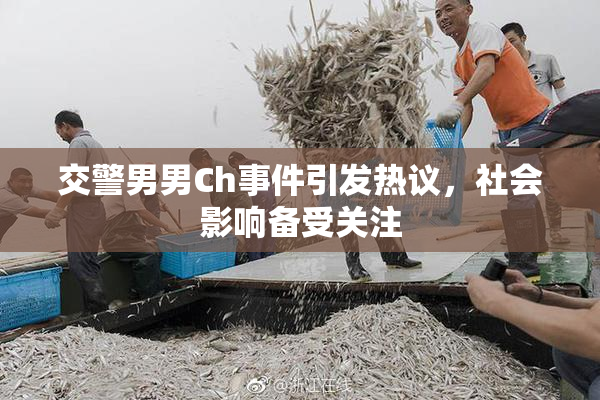 交警男男Ch事件引发热议，社会影响备受关注