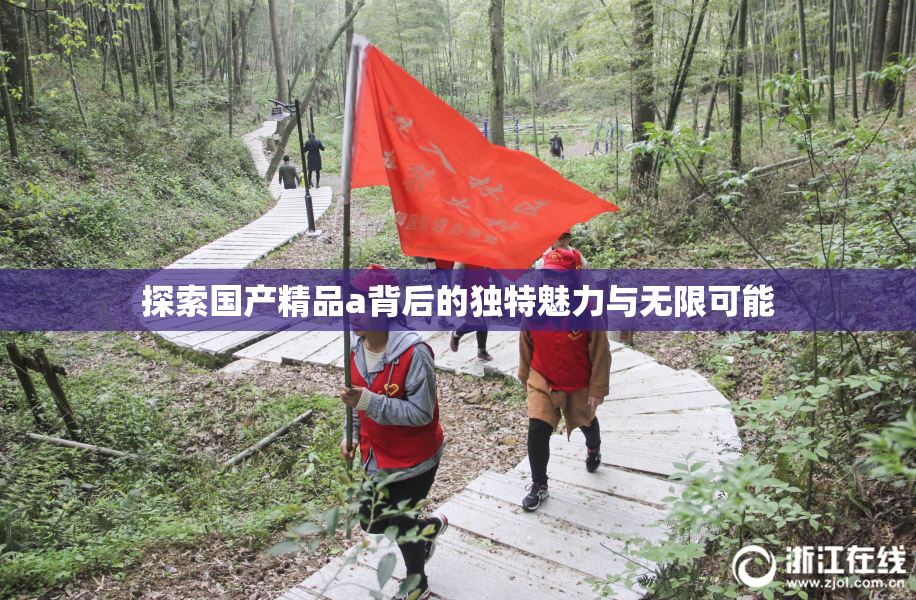 探索国产精品a背后的独特魅力与无限可能