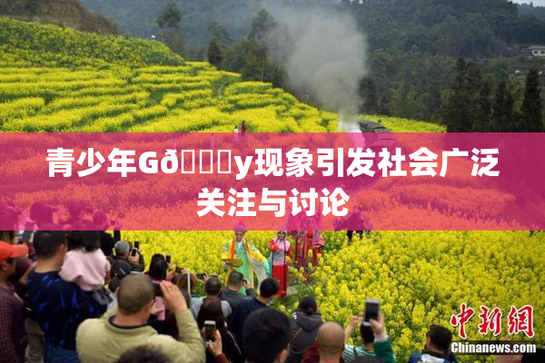 青少年G🈚y现象引发社会广泛关注与讨论