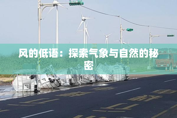 风的低语：探索气象与自然的秘密