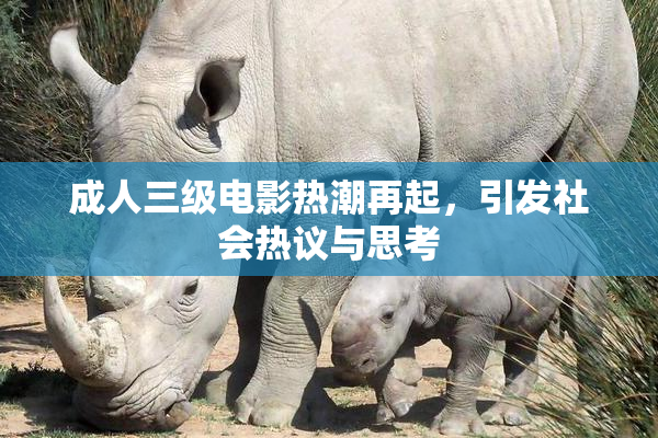 成人三级电影热潮再起，引发社会热议与思考