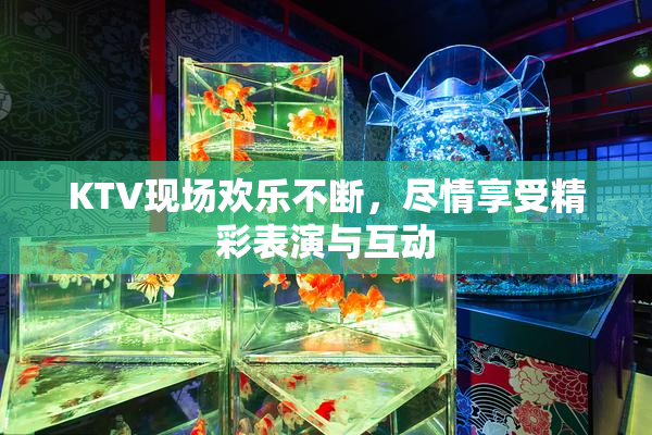KTV现场欢乐不断，尽情享受精彩表演与互动