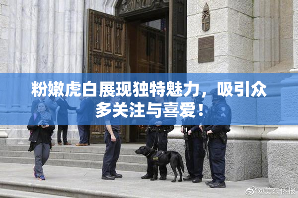 粉嫩虎白展现独特魅力，吸引众多关注与喜爱！