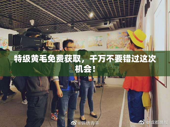 特级黄毛免费获取，千万不要错过这次机会！