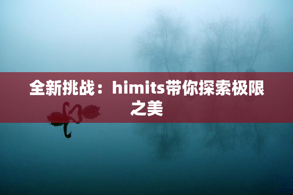 全新挑战：himits带你探索极限之美