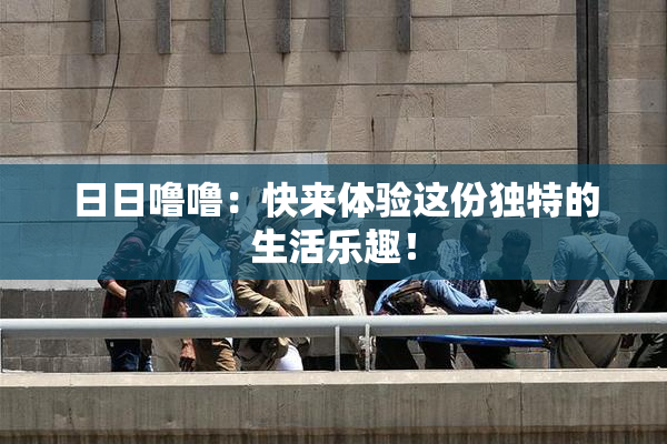 日日噜噜：快来体验这份独特的生活乐趣！