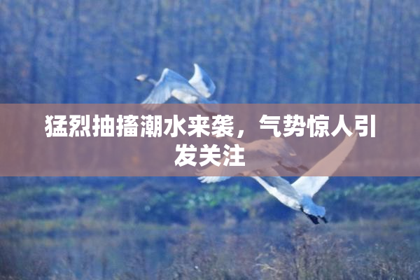 猛烈抽搐潮水来袭，气势惊人引发关注