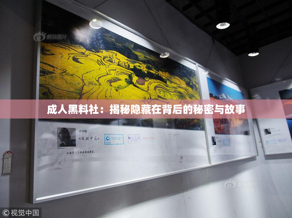 成人黑料社：揭秘隐藏在背后的秘密与故事