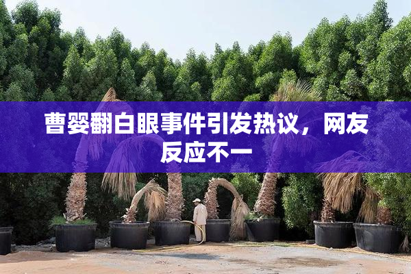 曹婴翻白眼事件引发热议，网友反应不一