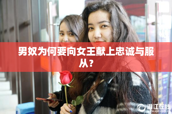 男奴为何要向女王献上忠诚与服从？