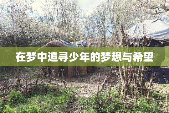 在梦中追寻少年的梦想与希望