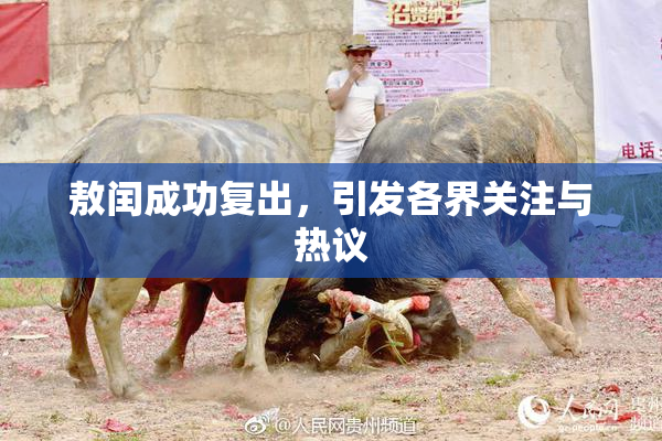 敖闰成功复出，引发各界关注与热议