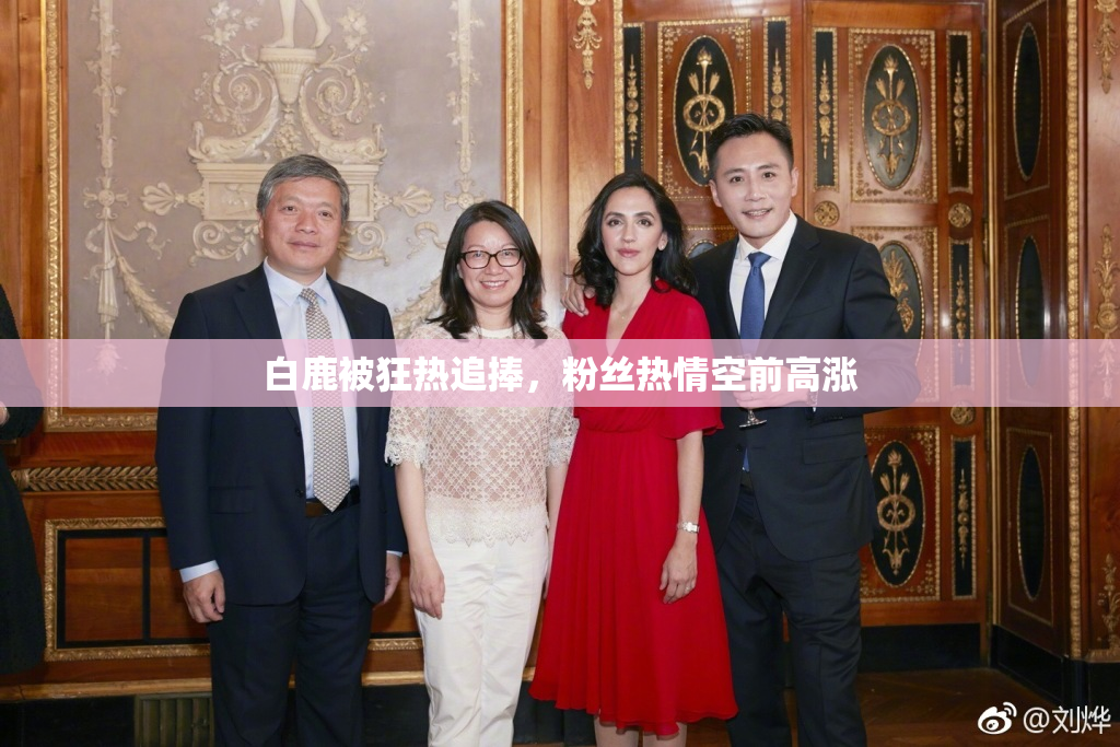 白鹿被狂热追捧，粉丝热情空前高涨