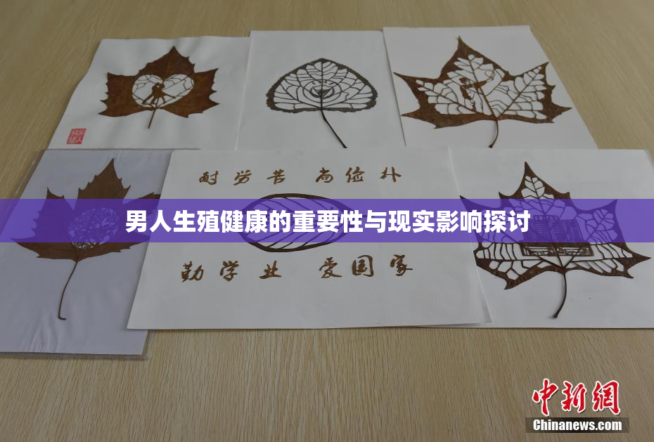 男人生殖健康的重要性与现实影响探讨