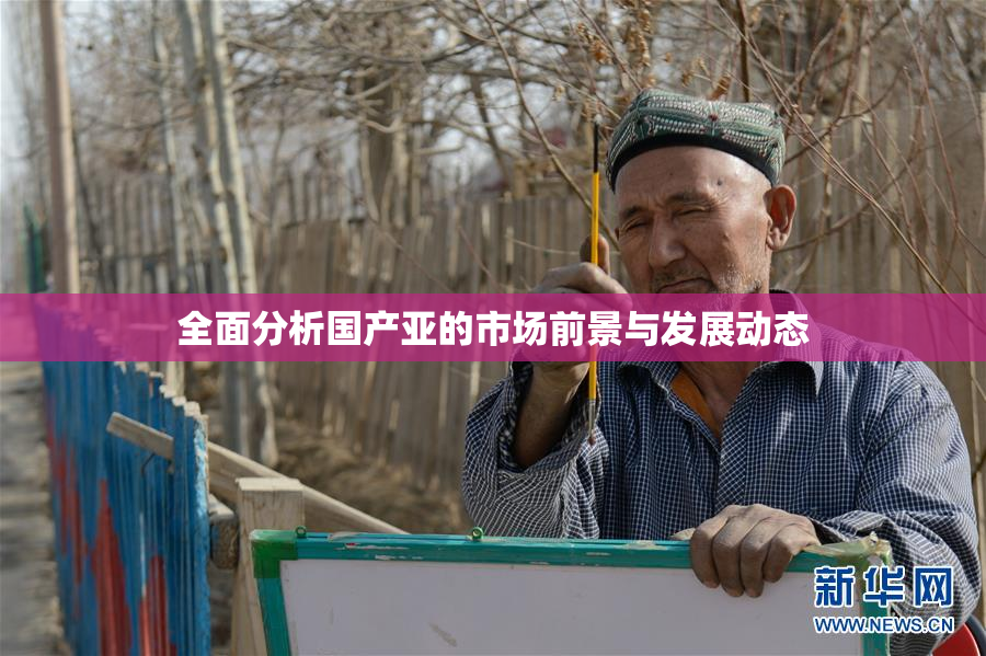 全面分析国产亚的市场前景与发展动态