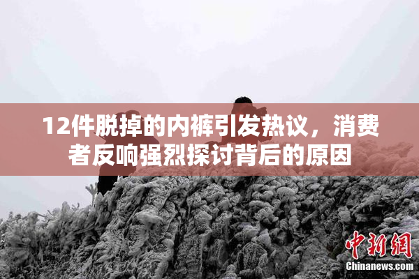 12件脱掉的内裤引发热议，消费者反响强烈探讨背后的原因