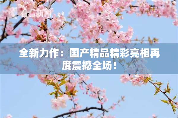 全新力作：国产精品精彩亮相再度震撼全场！