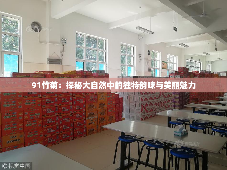 91竹菊：探秘大自然中的独特韵味与美丽魅力