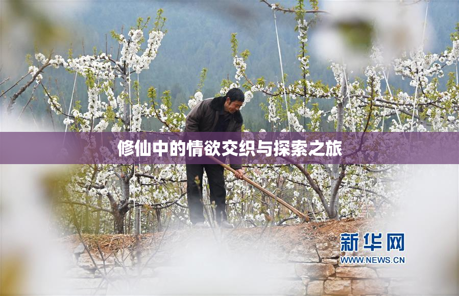 修仙中的情欲交织与探索之旅