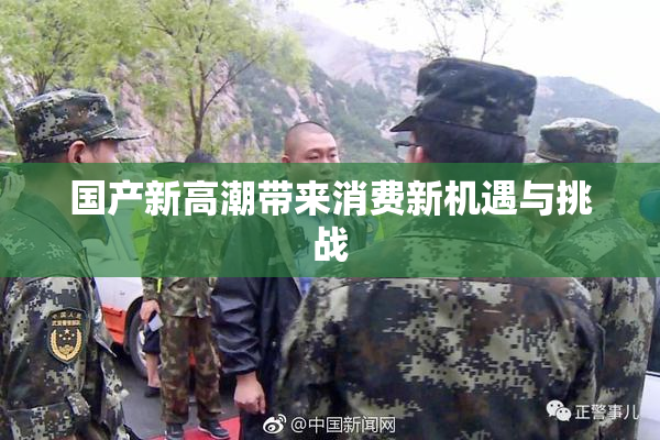 国产新高潮带来消费新机遇与挑战
