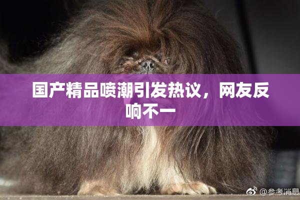 国产精品喷潮引发热议，网友反响不一