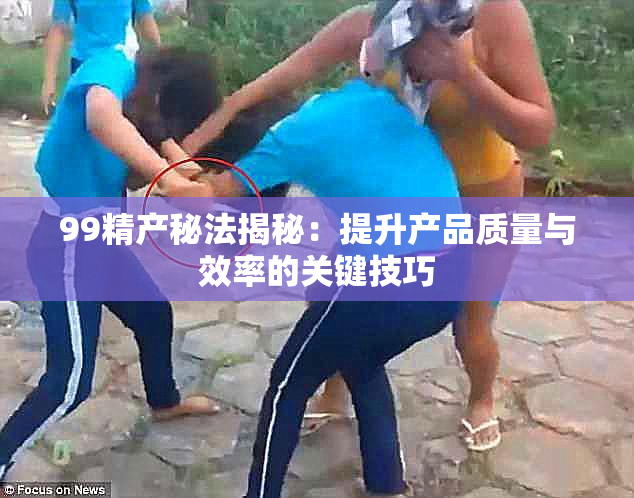 99精产秘法揭秘：提升产品质量与效率的关键技巧