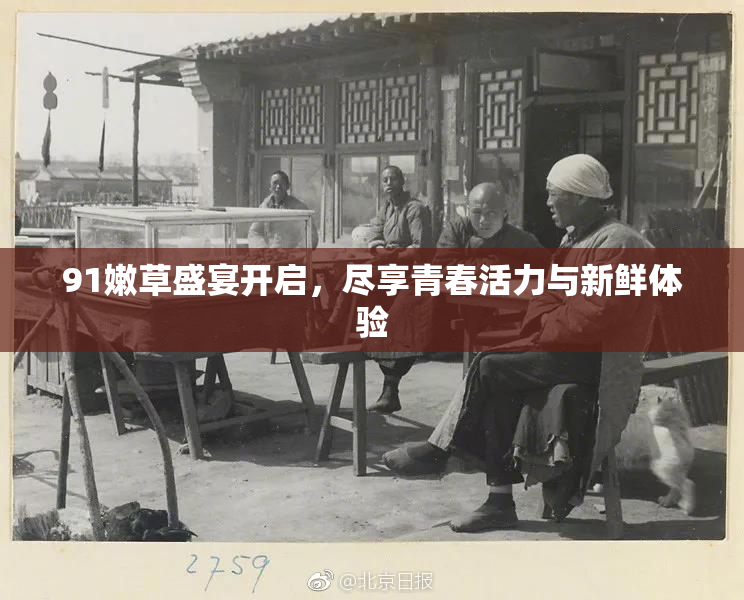 91嫩草盛宴开启，尽享青春活力与新鲜体验