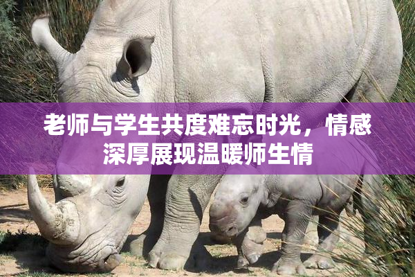 老师与学生共度难忘时光，情感深厚展现温暖师生情