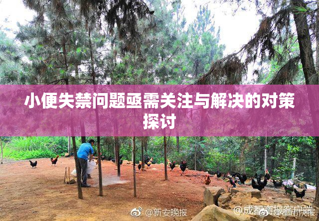 小便失禁问题亟需关注与解决的对策探讨