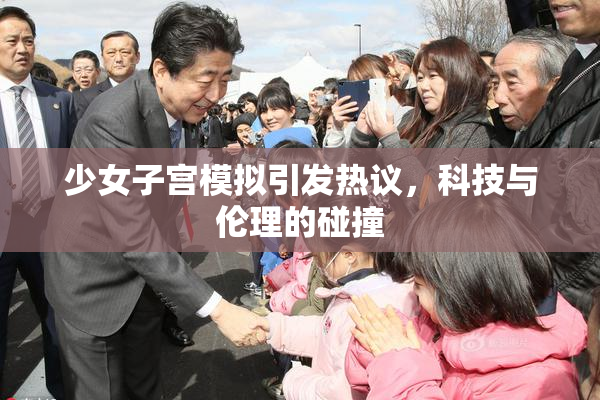 少女子宫模拟引发热议，科技与伦理的碰撞