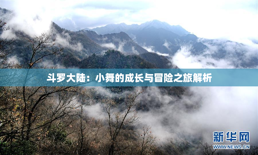 斗罗大陆：小舞的成长与冒险之旅解析