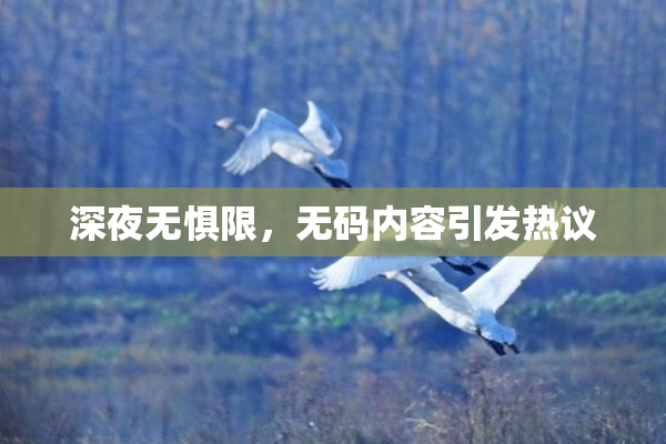 深夜无惧限，无码内容引发热议