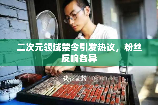 二次元领域禁令引发热议，粉丝反响各异