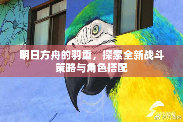明日方舟的羽重，探索全新战斗策略与角色搭配